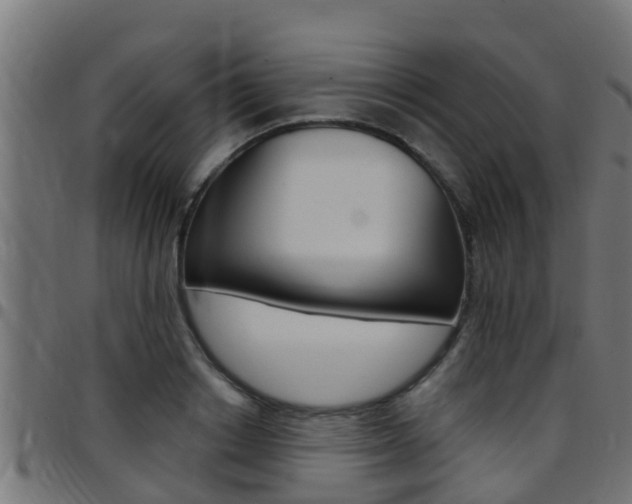 X0000097790842200803070933