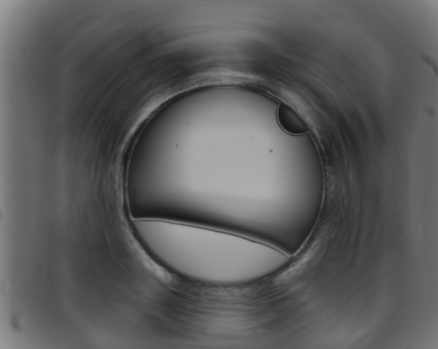 X0000097790843200803070933