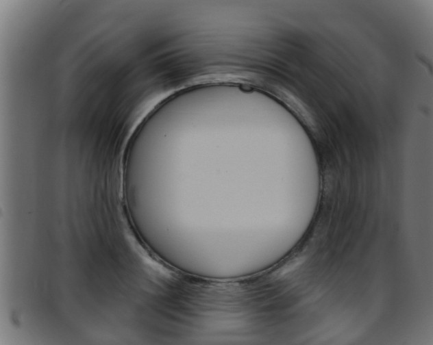X0000097790844200803070933