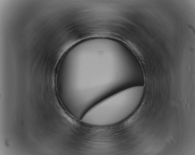 X0000097790846200803070933