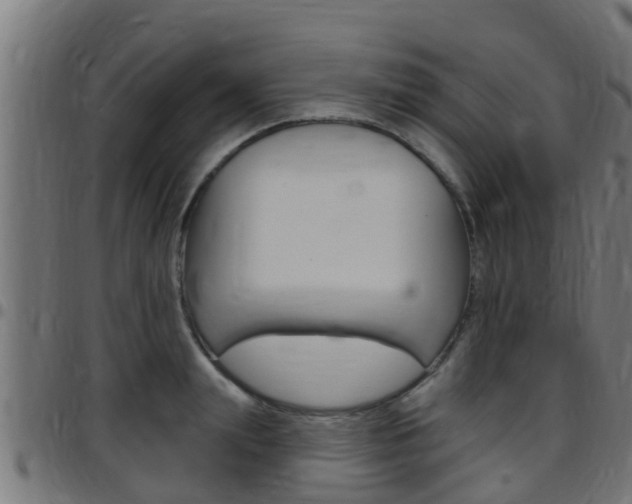X0000097790847200803070933