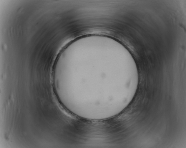 X0000097790848200803070933