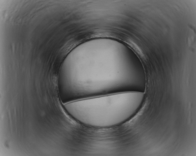 X0000097790849200803070933