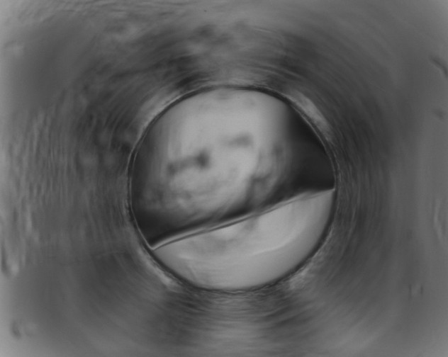 X0000097790850200803070934