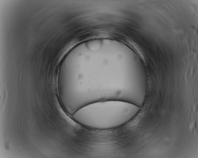X0000097790851200803070934