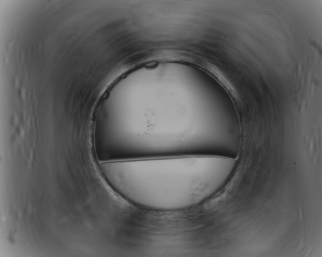 X0000097790853200803070934