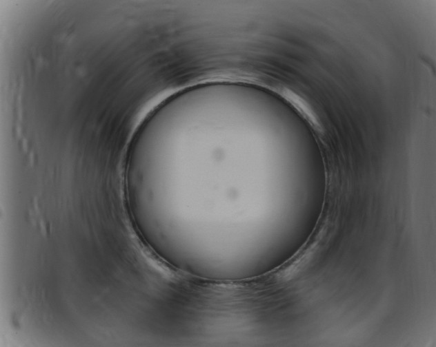 X0000097790854200803070934