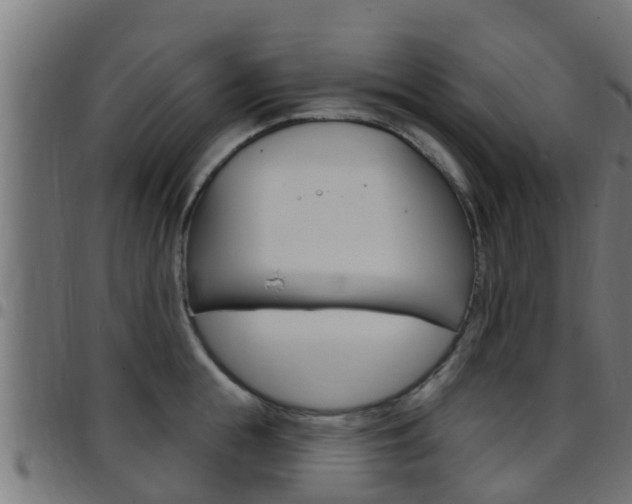 X0000097790855200803070934