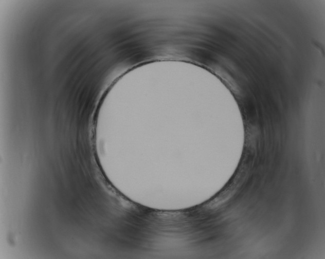X0000097790856200803070934