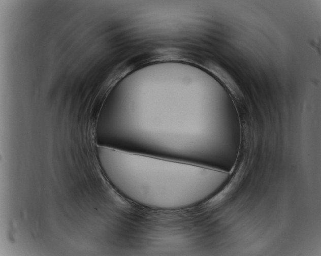 X0000097790857200803070934