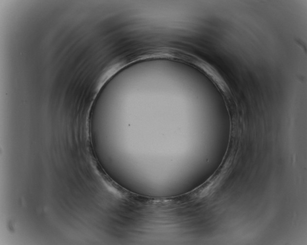X0000097790858200803070934