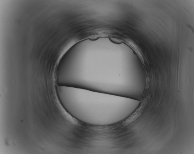 X0000097790859200803070934
