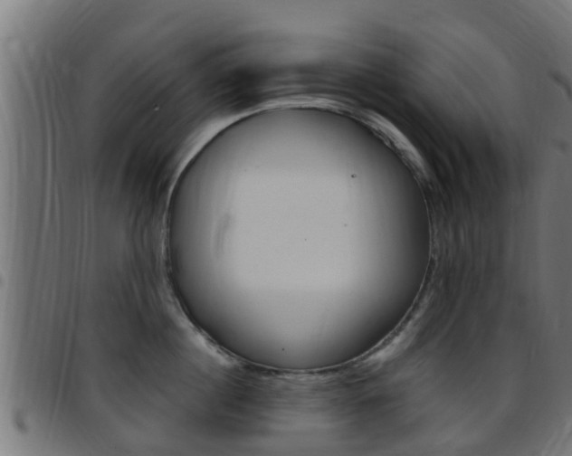 X0000097790860200803070934