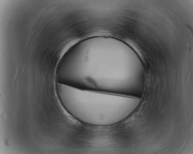 X0000097790861200803070934