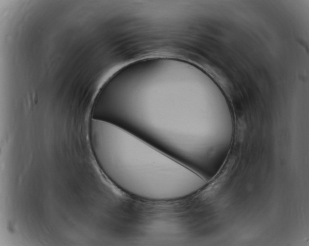 X0000097790862200803070934