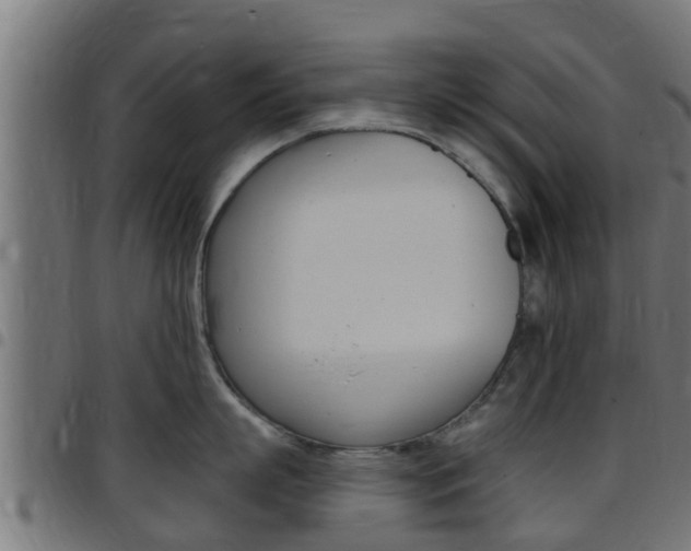X0000097790863200803070934