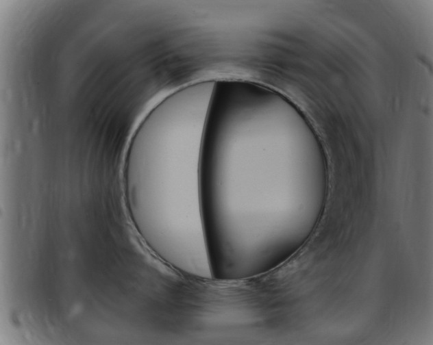 X0000097790864200803070934