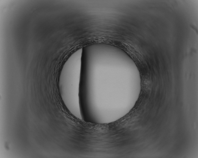 X0000097790865200803070933