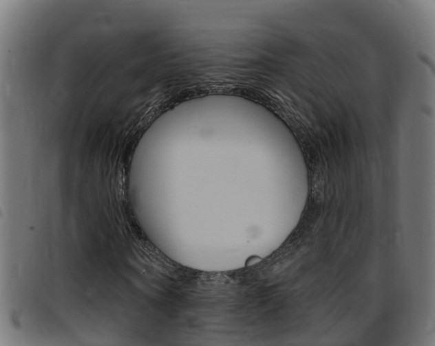 X0000097790866200803070933