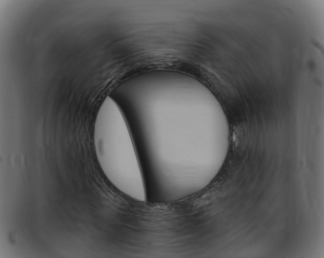 X0000097790867200803070933
