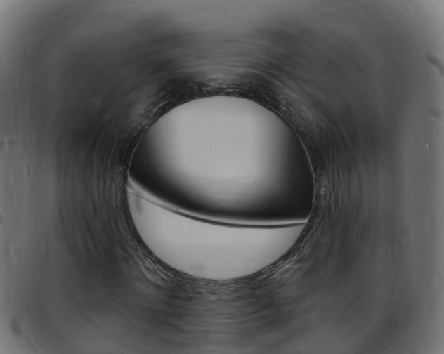 X0000097790868200803070933