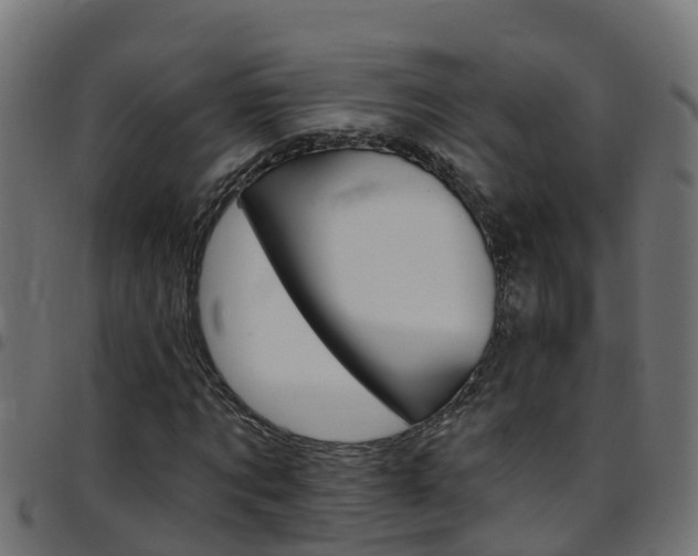 X0000097790869200803070933