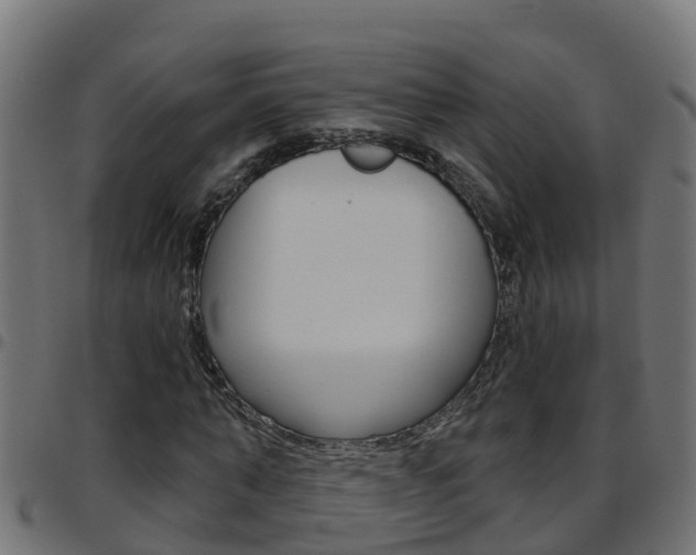 X0000097790870200803070933