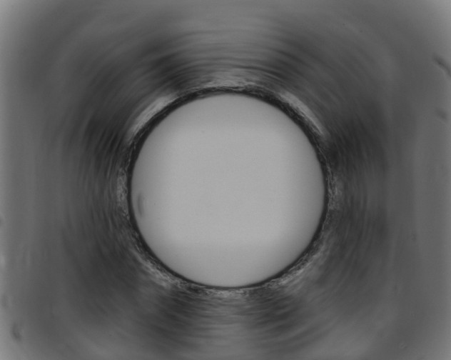 X0000097790874200803070933
