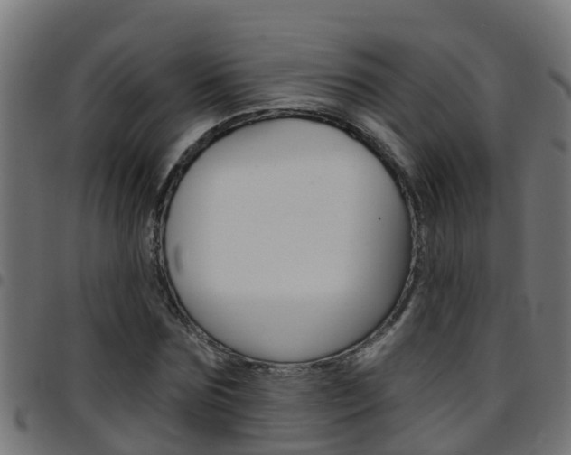 X0000097790875200803070933