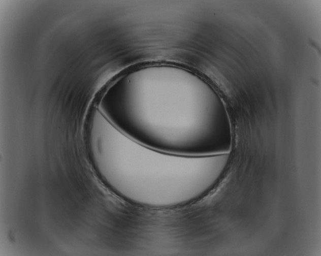 X0000097790876200803070933