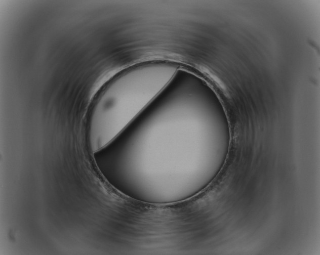 X0000097790877200803070933