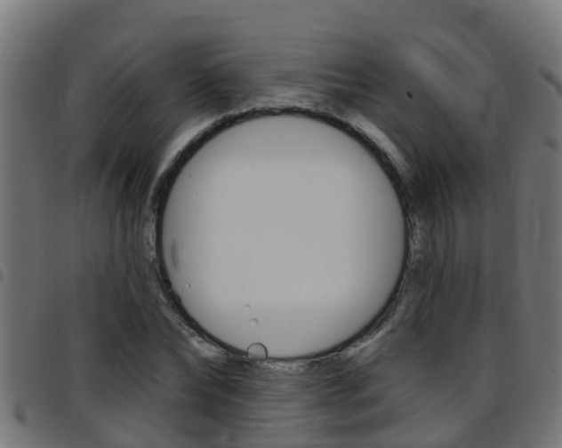 X0000097790878200803070933