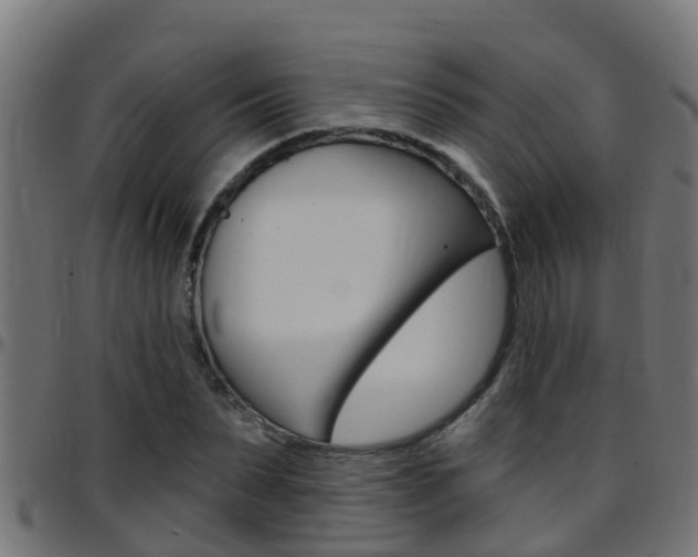 X0000097790879200803070933
