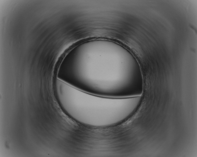 X0000097790880200803070933