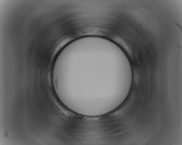 X0000097790882200803070933