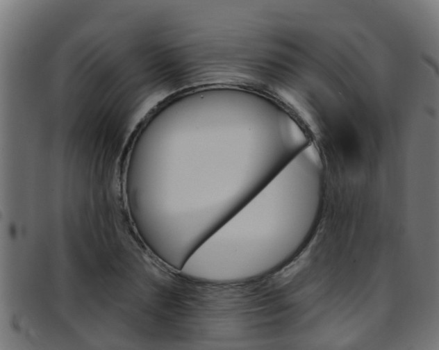X0000097790883200803070933
