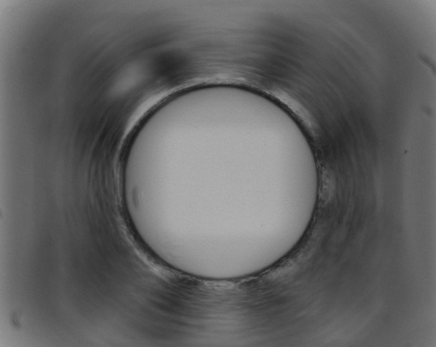 X0000097790886200803070933