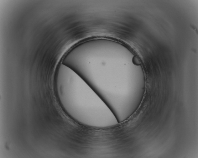 X0000097790887200803070933