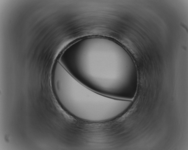 X0000097790888200803070933