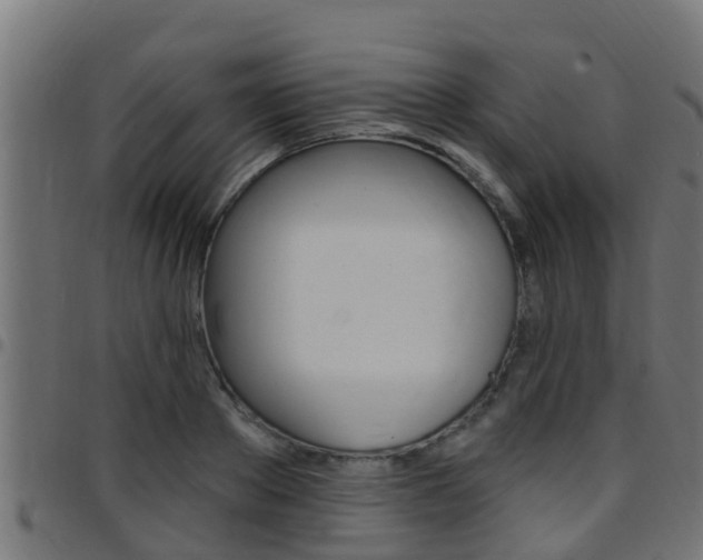 X0000097790889200803070933