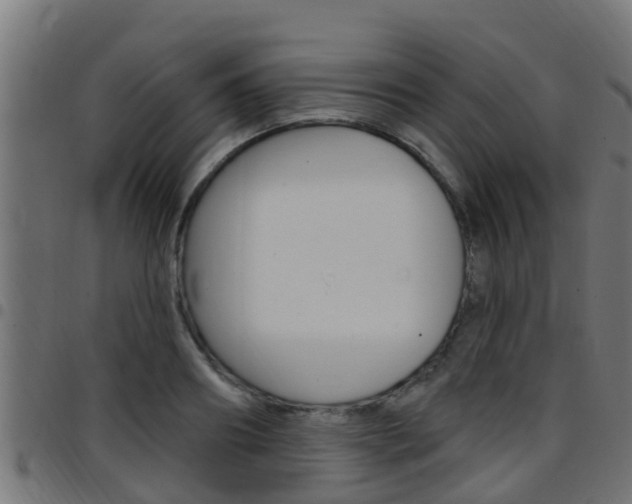 X0000097790890200803070933