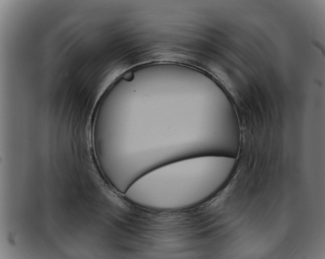X0000097790891200803070933