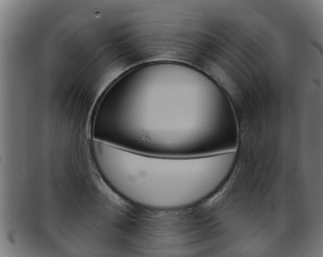 X0000097790892200803070933