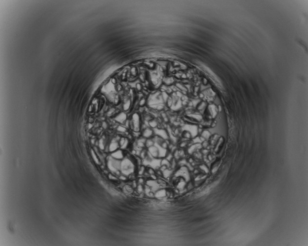 X0000097790893200803070932