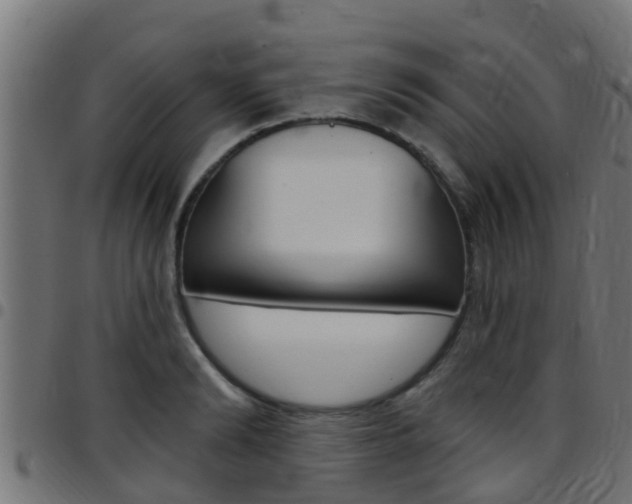 X0000097790894200803070932