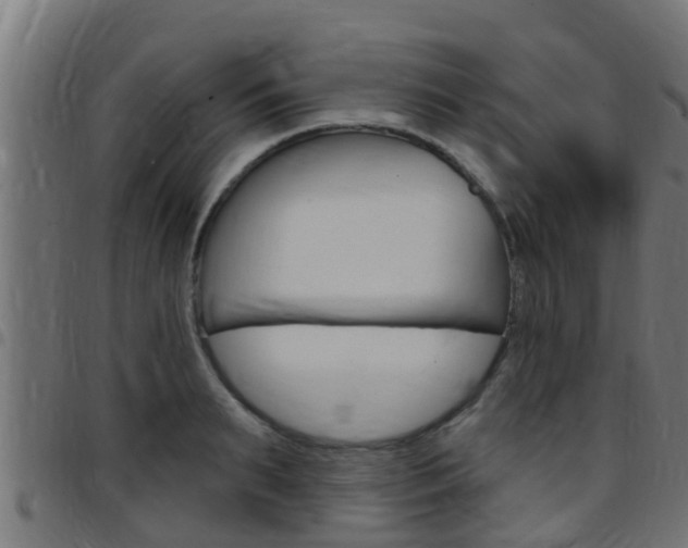 X0000097790895200803070932