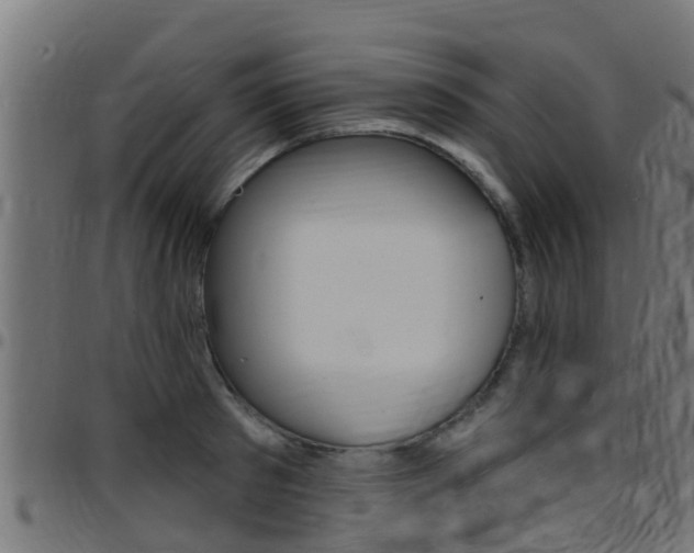 X0000097790897200803070932