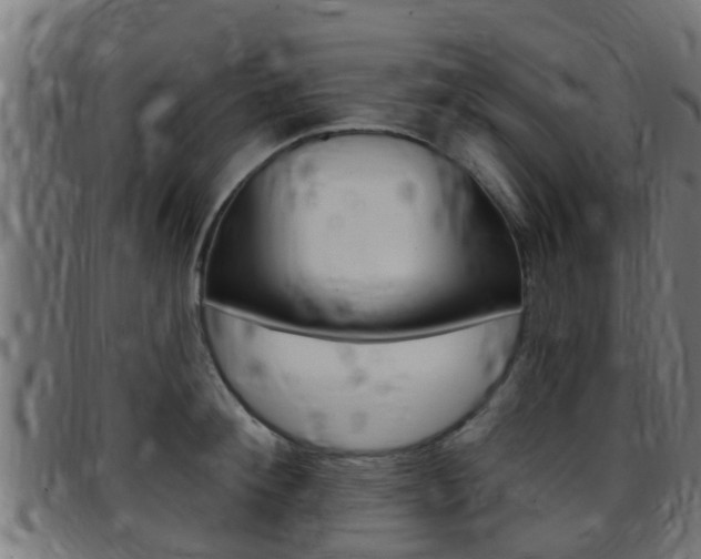 X0000097790900200803070932