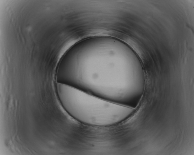 X0000097790901200803070932