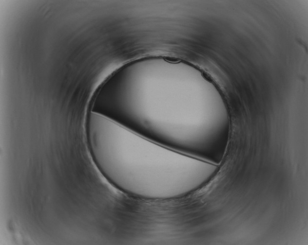 X0000097790902200803070932